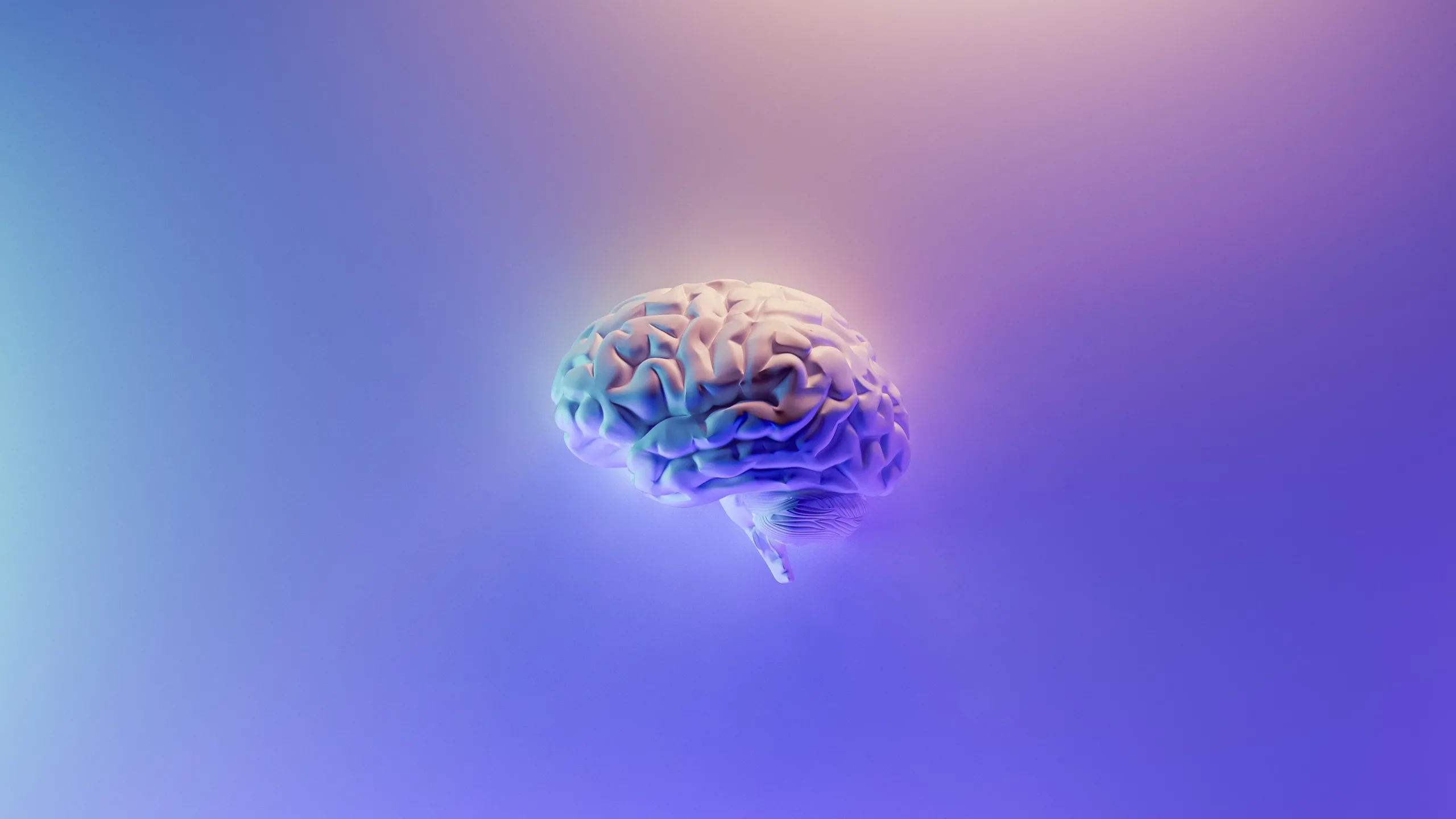 artistic rendering of a brain